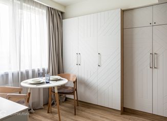 Квартира на продажу студия, 28.4 м2, Санкт-Петербург, Заозёрная улица, 3к3с2, Заозёрная улица