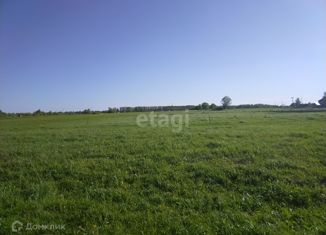 Продается участок, 15 сот., деревня Жашково