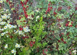 Продаю дом, 50 м2, СНТ Строитель