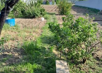 Дом на продажу, 50 м2, село Щелкун, Советская улица, 7