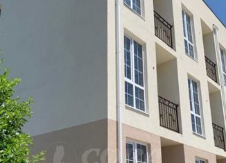 Продажа однокомнатной квартиры, 21 м2, село Весёлое, Петропавловская улица, 1/5