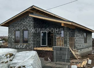 Продажа дома, 80 м2, село Дружино, Производственная улица