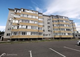 Продается 1-комнатная квартира, 47.2 м2, Белгородская область, улица Чапаева, 28/1