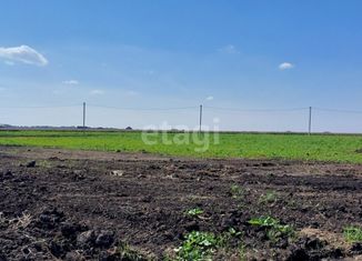 Продажа земельного участка, 9.06 сот., деревня Зубарева, Центральная улица