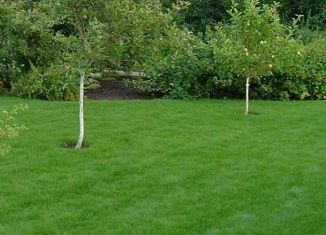 Продаю земельный участок, 4.06 сот., СНТ Нива, Грушёвая улица, 413