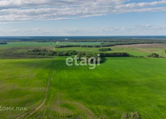 Земельный участок на продажу, 7.25 сот., село Каменка, Школьная улица