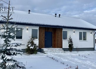 Дом на продажу, 95 м2, деревня Большое Седельниково, Рябиновая улица