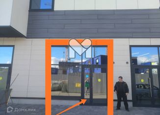Сдам офис, 45 м2, Санкт-Петербург, Заневский проспект, 65, метро Ладожская