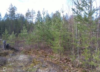 Продам земельный участок, 11 сот., посёлок городского типа Верхняя Максаковка, Мирная улица, 39