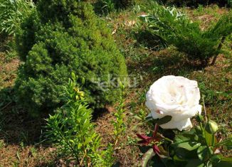 Продаю дом, 254 м2, село Каменки