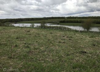 Продается дом, 33 м2, село Бишня, Луговая улица, 13