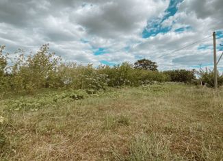 Продается участок, 8 сот., деревня Петроково, Полевая улица, 4