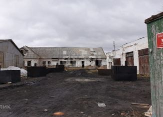 Участок на продажу, 24.22 сот., Каргат, Советская улица