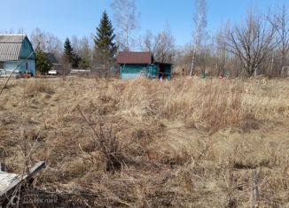 Продается дом, 20 м2, село Чёрная Речка, Центральная улица, 37