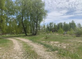 Продам участок, 30 сот., садовое товарищество Сотовик