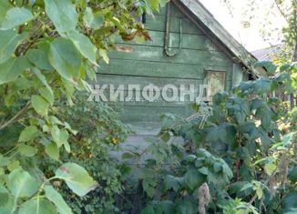 Продажа дома, 20 м2, Новосибирск, Первомайский район