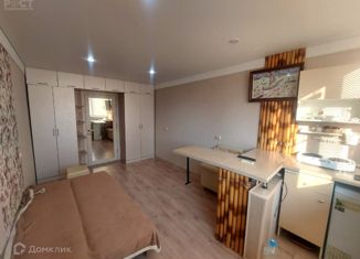 Продам квартиру студию, 16 м2, село Орёл-Изумруд, Петрозаводская улица, 26