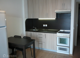 Сдается квартира студия, 25 м2, Санкт-Петербург, улица Катерников, 7, улица Катерников