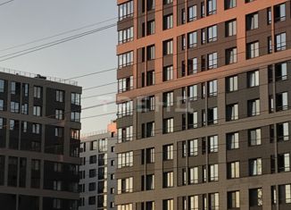 Продаю квартиру студию, 24.9 м2, Санкт-Петербург, метро Парк Победы, Кузнецовская улица, 58к2