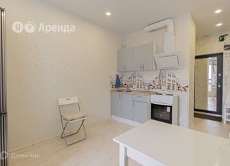 Аренда однокомнатной квартиры, 32 м2, Санкт-Петербург, Планерная улица, 95к1