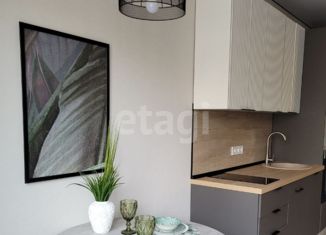 Сдаю квартиру студию, 26 м2, Новосибирск, улица Державина, 50, метро Маршала Покрышкина