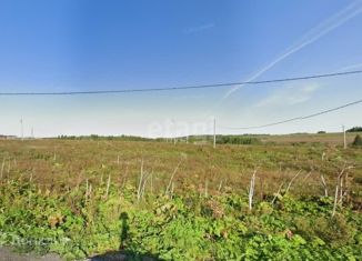 Продам земельный участок, 320 сот., село Башкултаево, Октябрьская улица