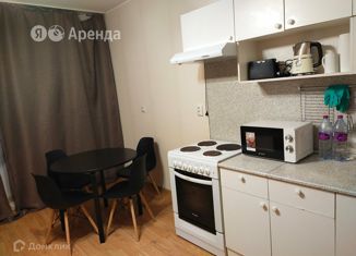 Сдача в аренду квартиры студии, 21 м2, Мурино, проспект Авиаторов Балтики, 31, ЖК Цвета радуги