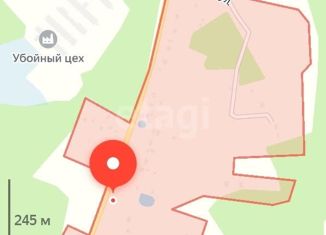 Продам участок, 17 сот., деревня Малые Козлы, 29Н-379