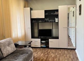 Продается 2-комнатная квартира, 31 м2, Новосибирск, 2-я улица Шевцовой, 38, метро Заельцовская