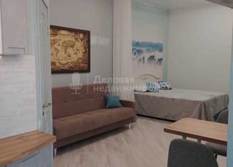 Сдам в аренду квартиру студию, 40 м2, Великий Новгород, Розважа улица, 13