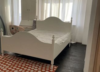 Сдается в аренду 1-ком. квартира, 68 м2, Санкт-Петербург, Фермское шоссе, 32, метро Удельная