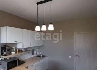 Сдается в аренду 1-ком. квартира, 45 м2, Краснодар, улица Невкипелого, 24/2к1, ЖК Трилогия