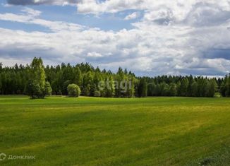 Земельный участок на продажу, 15.41 сот., деревня Коняшина, Речная улица