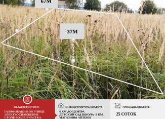 Продается земельный участок, 25 сот., село Коллонтай