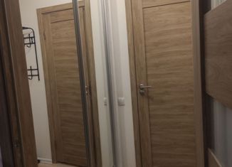 Сдам двухкомнатную квартиру, 42 м2, Санкт-Петербург, аллея Евгения Шварца, 11с1, аллея Евгения Шварца