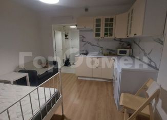 Квартира в аренду студия, 20 м2, Москва, Люблинская улица, 78к2, ЖК Люблинский Парк