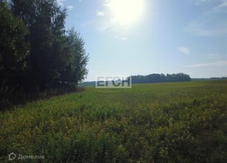 Продам земельный участок, 344.17 сот., деревня Елгозино, улица 1-я Владимировка