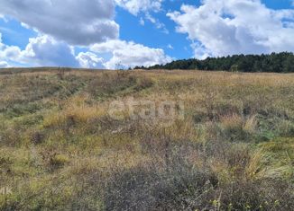 Продается земельный участок, 5 сот., село Строгоновка, улица Мелевше