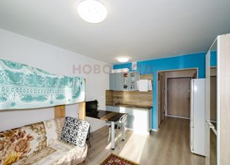 Продам квартиру студию, 24.6 м2, посёлок Мичуринский, Медногорская улица, 102