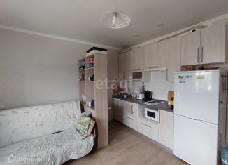 Продажа квартиры студии, 24 м2, Калуга, Хрустальная улица, 44к3, Октябрьский округ