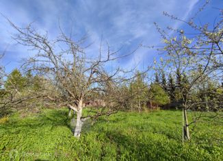 Продается земельный участок, 24 сот., деревня Елино, Торговая улица