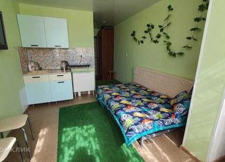 Продажа квартиры студии, 17 м2, село Краевско-Армянское, Измайловская улица, 59/6