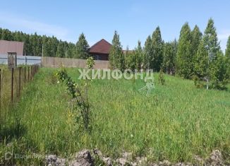 Участок на продажу, 20 сот., село Гусиный Брод