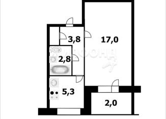 Продается однокомнатная квартира, 29.7 м2, Новосибирск, улица Кропоткина, 132, метро Берёзовая роща