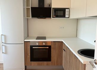 Сдача в аренду квартиры студии, 21 м2, Мурино, ЖК Авиатор, Екатерининская улица, 30