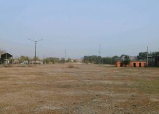 Продается земельный участок, 290 сот., село Грачёвка