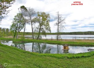 Продам участок, 130 сот., деревня Алтун