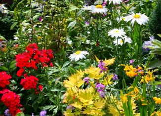 Продается дом, 20 м2, СДТ Сюктерский