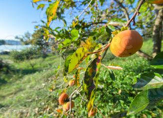 Продаю дом, 200 м2, село Нижняя Шиловка