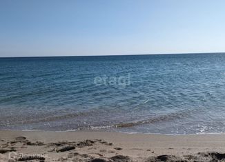 Продам земельный участок, 100 сот., Окунёвское сельское поселение